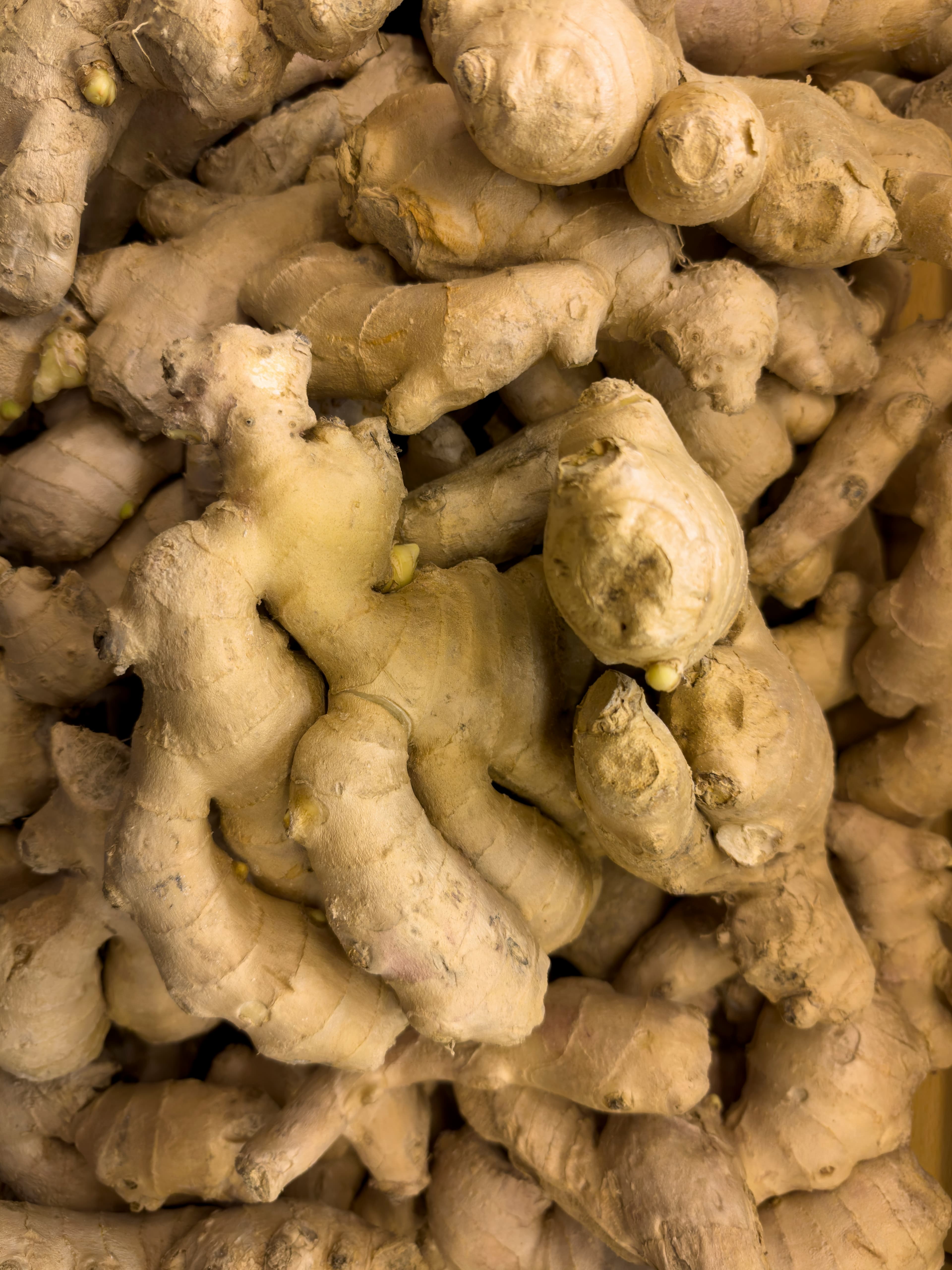 Dried Ginger — export commodity