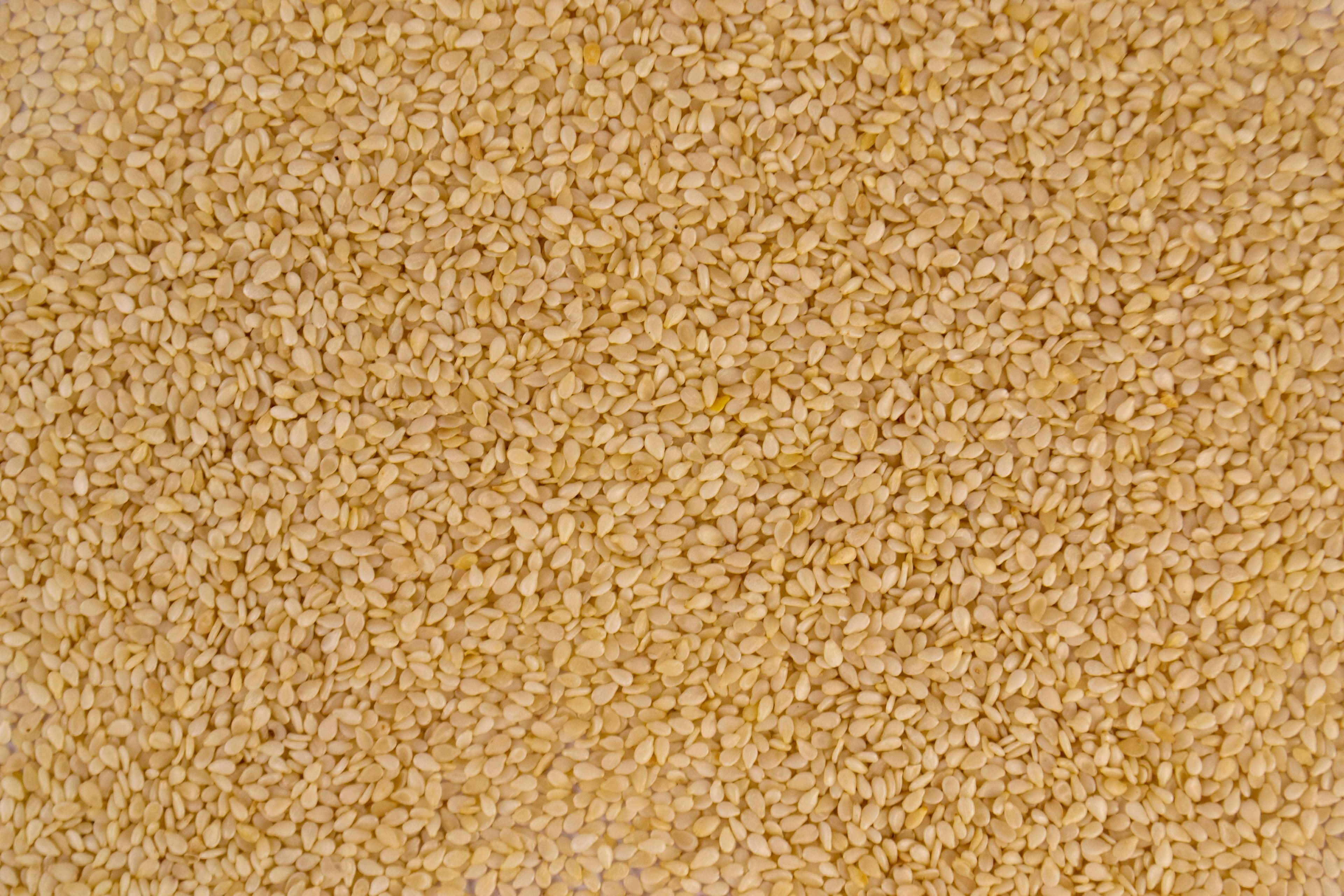Sesame Seeds — export commodity